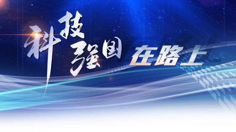 系统集成项目经理职业发展路径：从技术骨干到项目管理高手